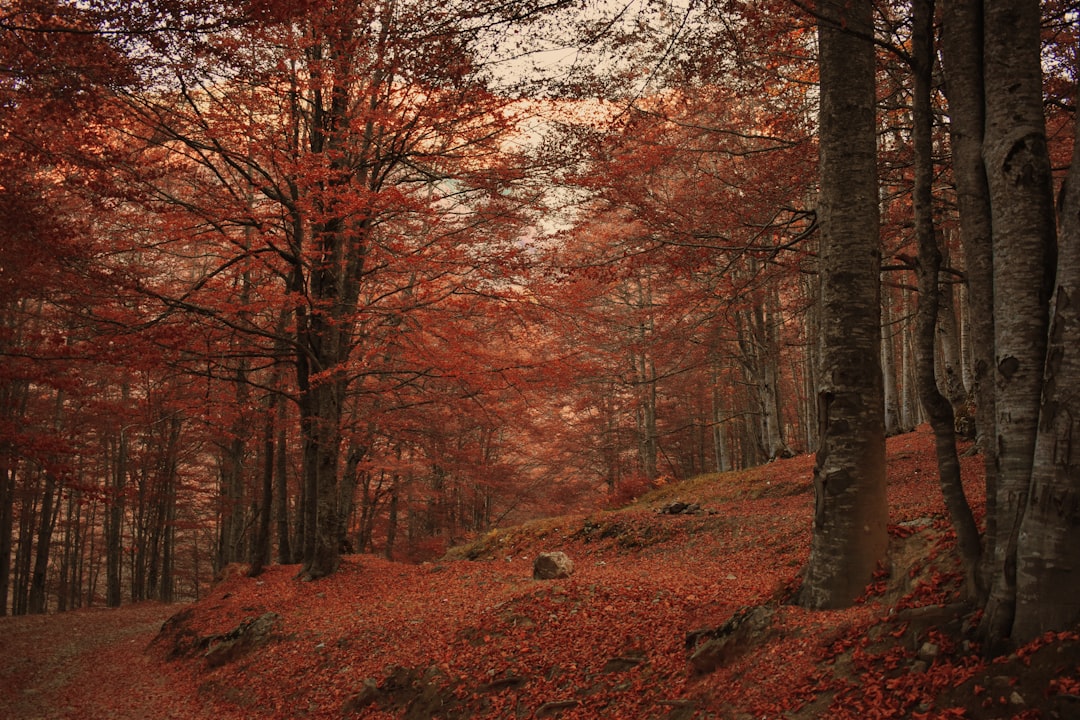 Fall Adventures in Ottawa