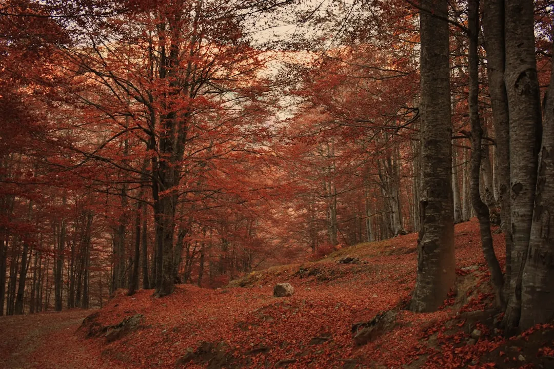 Fall Adventures in Ottawa